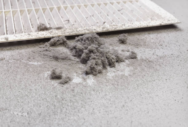 Home Air Vent Cleaning in Douglas, MI