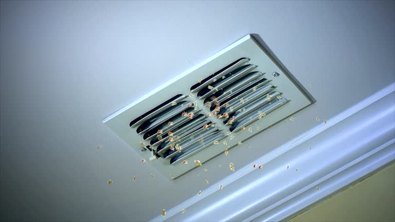 Best HVAC Duct Inspection Services  in Douglas, MI