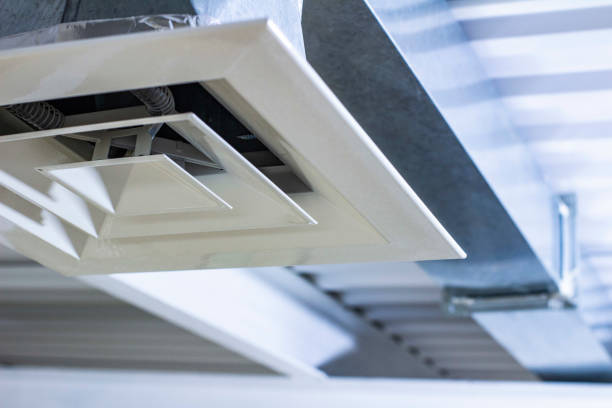 Best Air Duct Cleaning Cost  in Douglas, MI