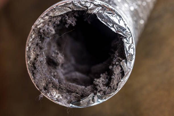 Best Local Air Duct Cleaning Services  in Douglas, MI