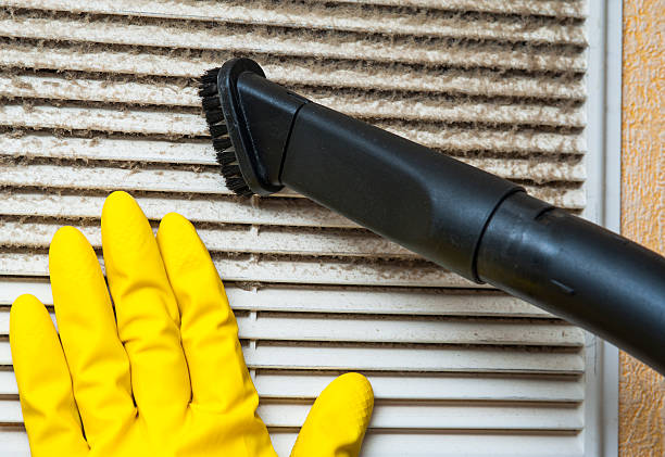 Best Affordable HVAC Duct Cleaning  in Douglas, MI